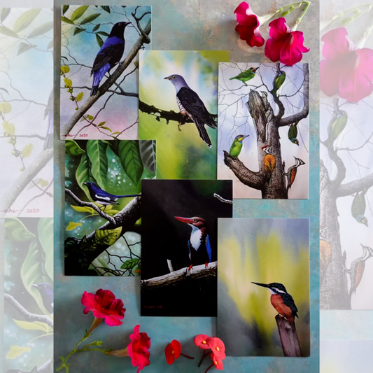 Postcards - Malaysia's Birds Collection (Series 1)
