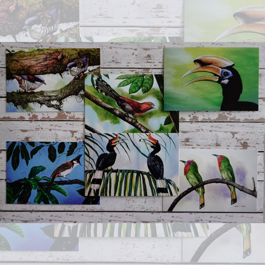 Postcards - Malaysia's Birds Collection (Series 3)