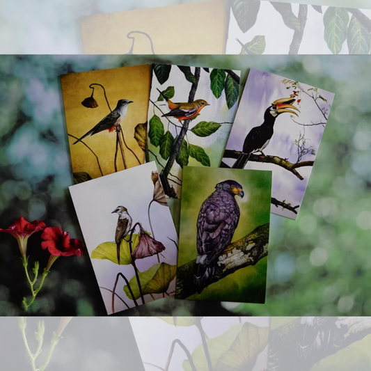 Postcards - Taiping's Birds Collection