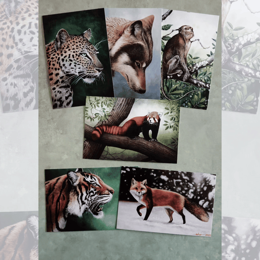 Postcards - Wildlife Collection